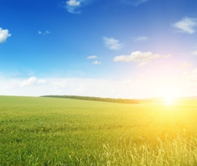 Winning the Customer Experience: Enhancing Field Service with Knowledge Management (WEBINAR)