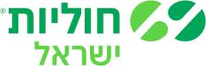 חוליות